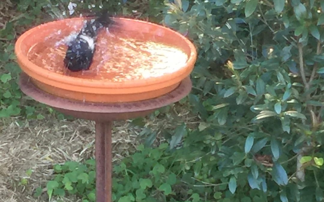 Bushfire season continues