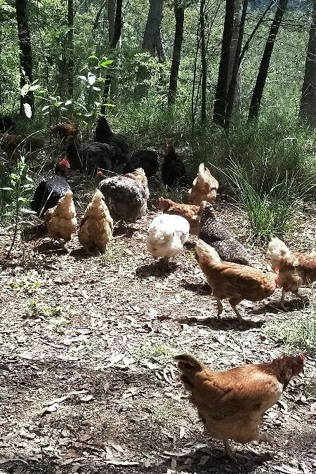 It’s a tough life for so many animals out there