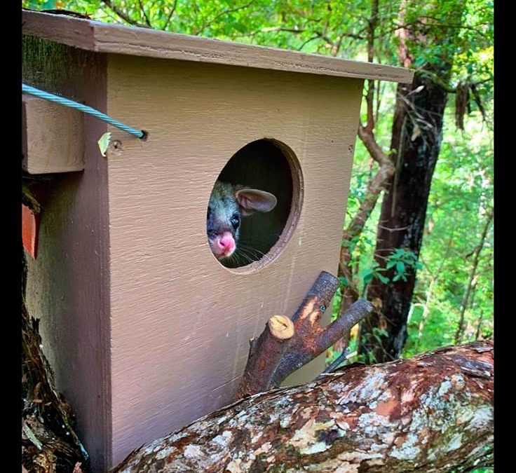 WILVOS have always been there for 27 years!