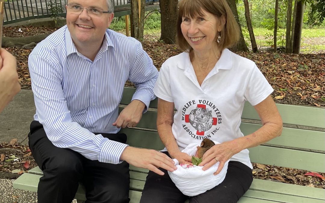 Save our native animals from extinction