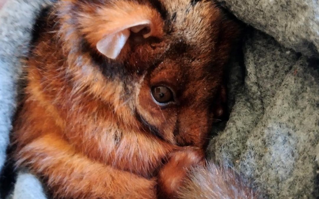 Reunited and it feels so good…