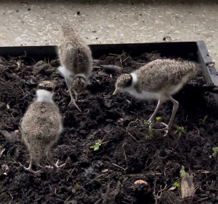 Looking forward to a sunnier time…..