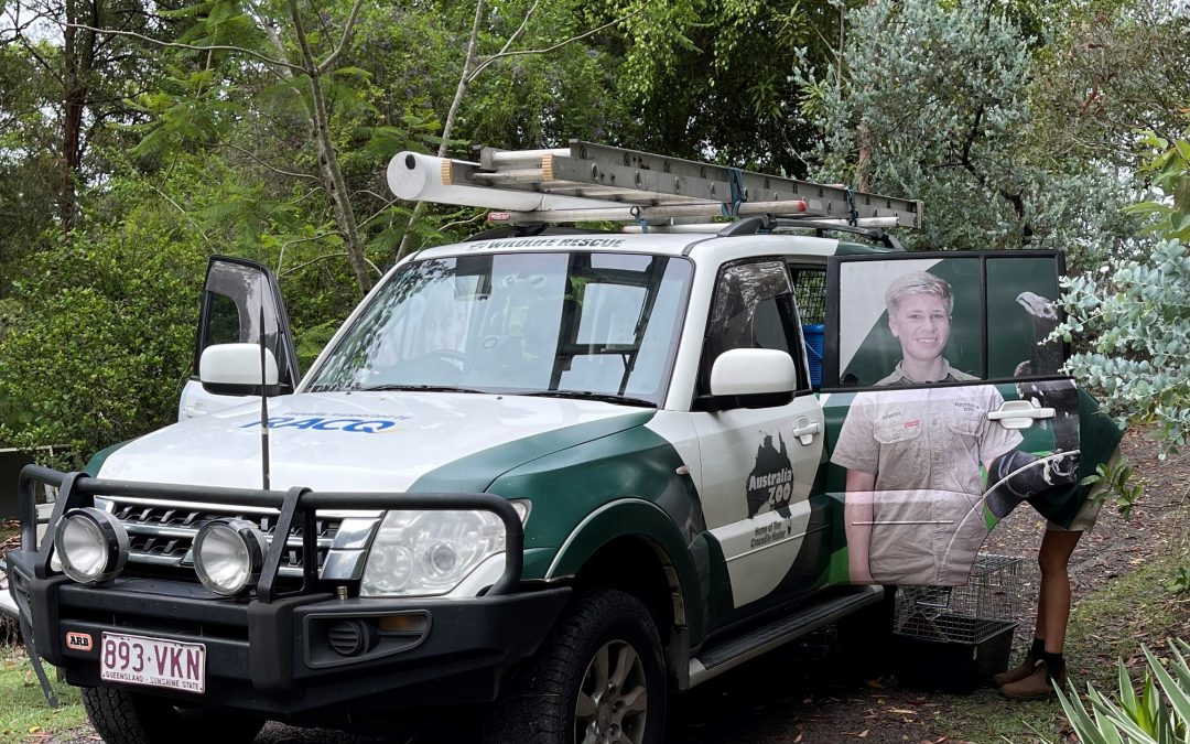 Hoping for a better 2022