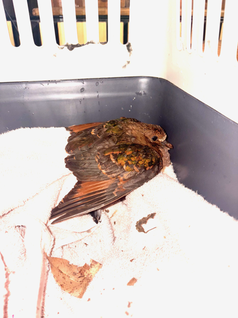 Storm Season has arrived